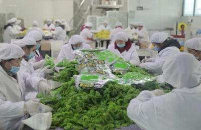 看“四園”促發(fā)展 2019網(wǎng)絡媒體周至行采風活動圓滿落幕，聚焦食品銷售創(chuàng)新